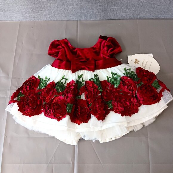 American Princess Baby Girl Red Velvet Floral Dress 6M NWT Special Occasion - Picture 1 of 6
